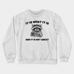 It Is what it is and it is not great, Cartoon Meme Top, Vintage Cartoon Sweater, Unisex Crewneck Sweatshirt